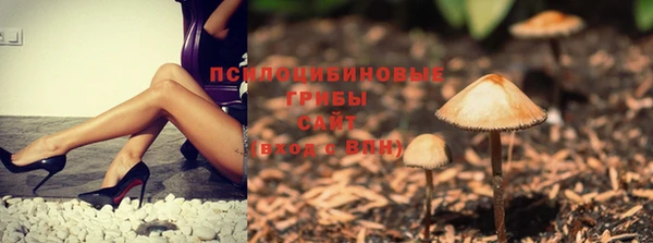 хмурый Алексеевка