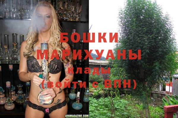 молекула духа Осташков