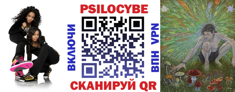 Псилоцибиновые грибы Psilocybe  Омутнинск 